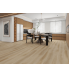 Vinnature SPC Flooring Oak S169